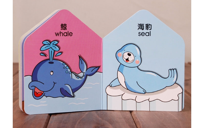 紙板書(shū)